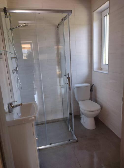 Apartamenty - Domek Bobrowe Zacisze 3 Janowice Wielkie Buitenkant foto
